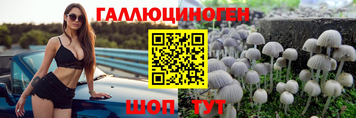 Галлюциногенные грибы прущие грибы Михайловка